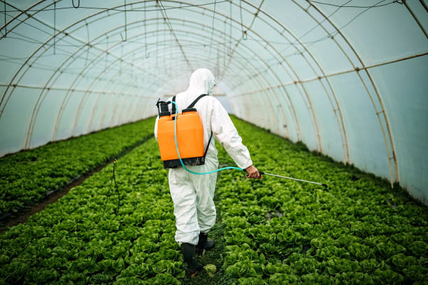 Best Pest Inspection Near Me  in Lighthouse Point, FL